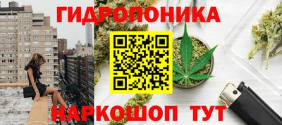apvp Тулун