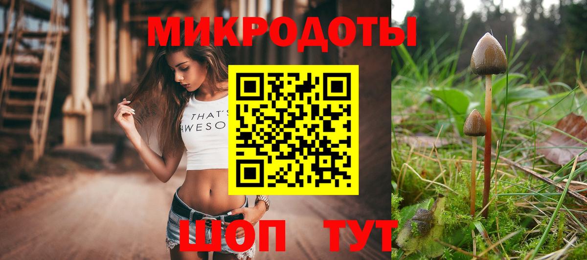 Галлюциногенные грибы Psilocybine cubensis Нижнекамск