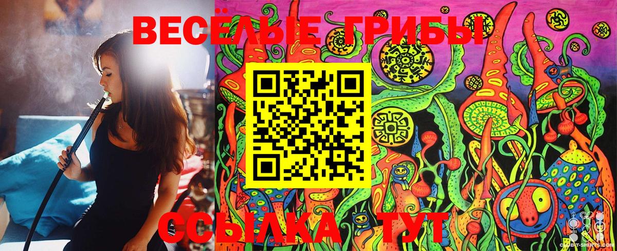 Нижнекамск  Галлюциногенные грибы Cubensis  как найти закладки  Вход с VPN 